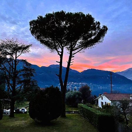 Villa Rosi Lierna Dış mekan fotoğraf