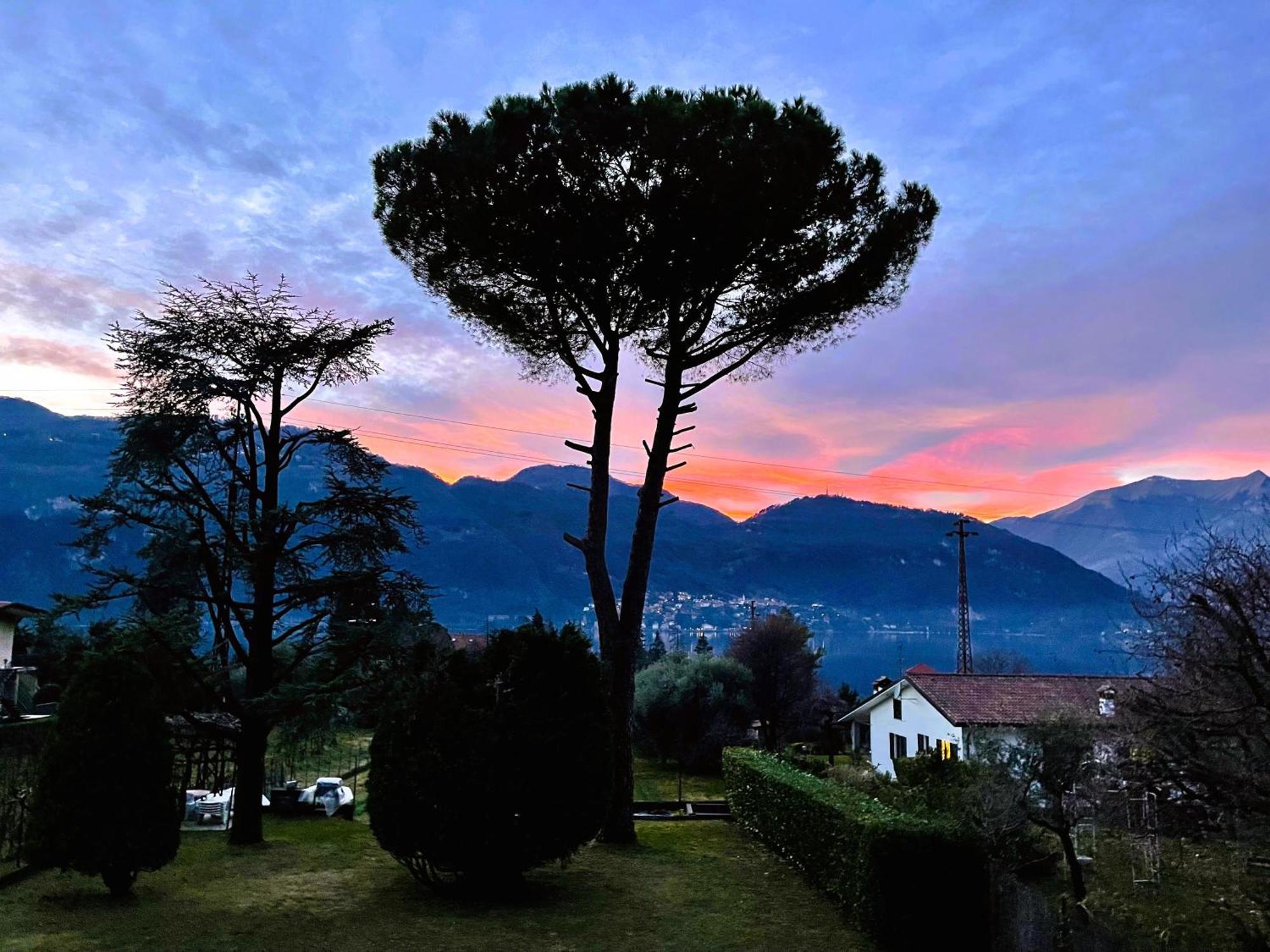 Villa Rosi Lierna Dış mekan fotoğraf