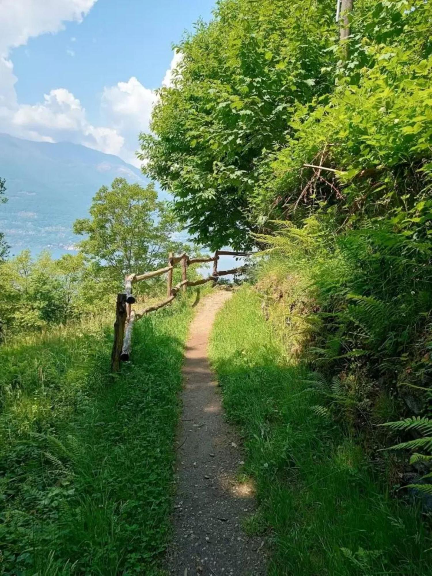 Villa Rosi Lierna Dış mekan fotoğraf