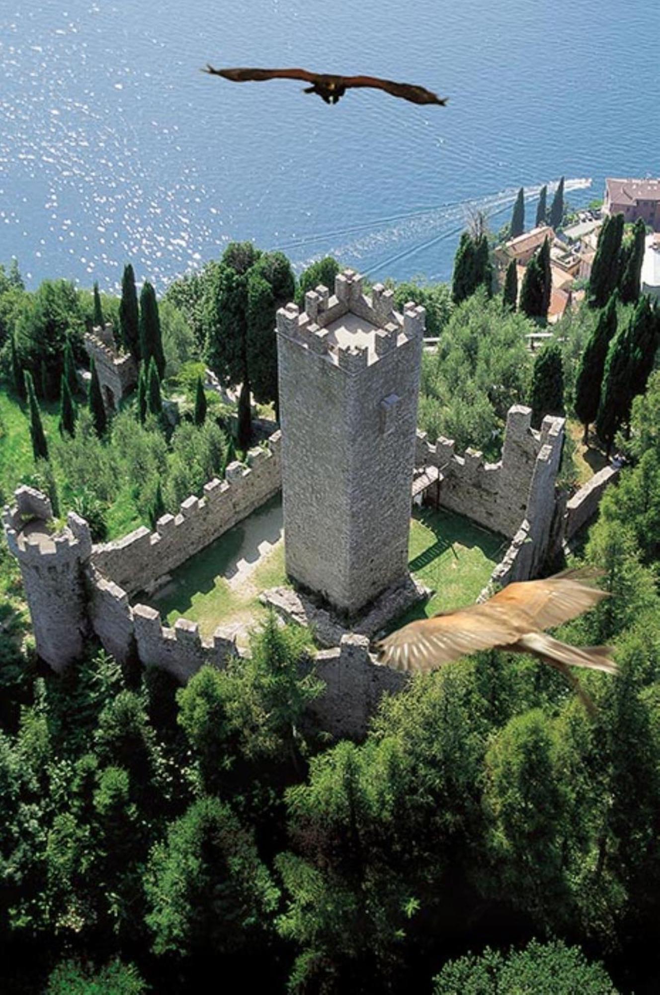 Villa Rosi Lierna Dış mekan fotoğraf