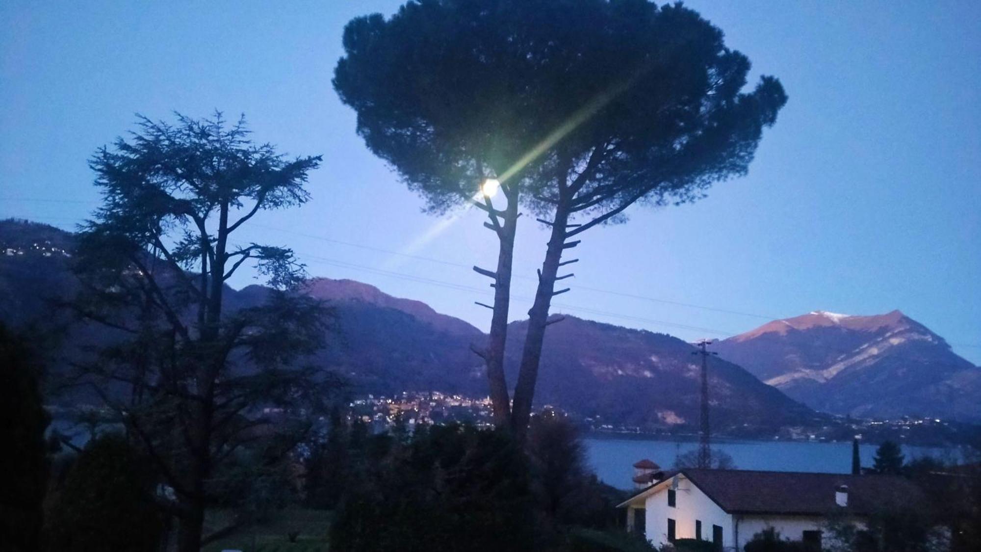 Villa Rosi Lierna Dış mekan fotoğraf