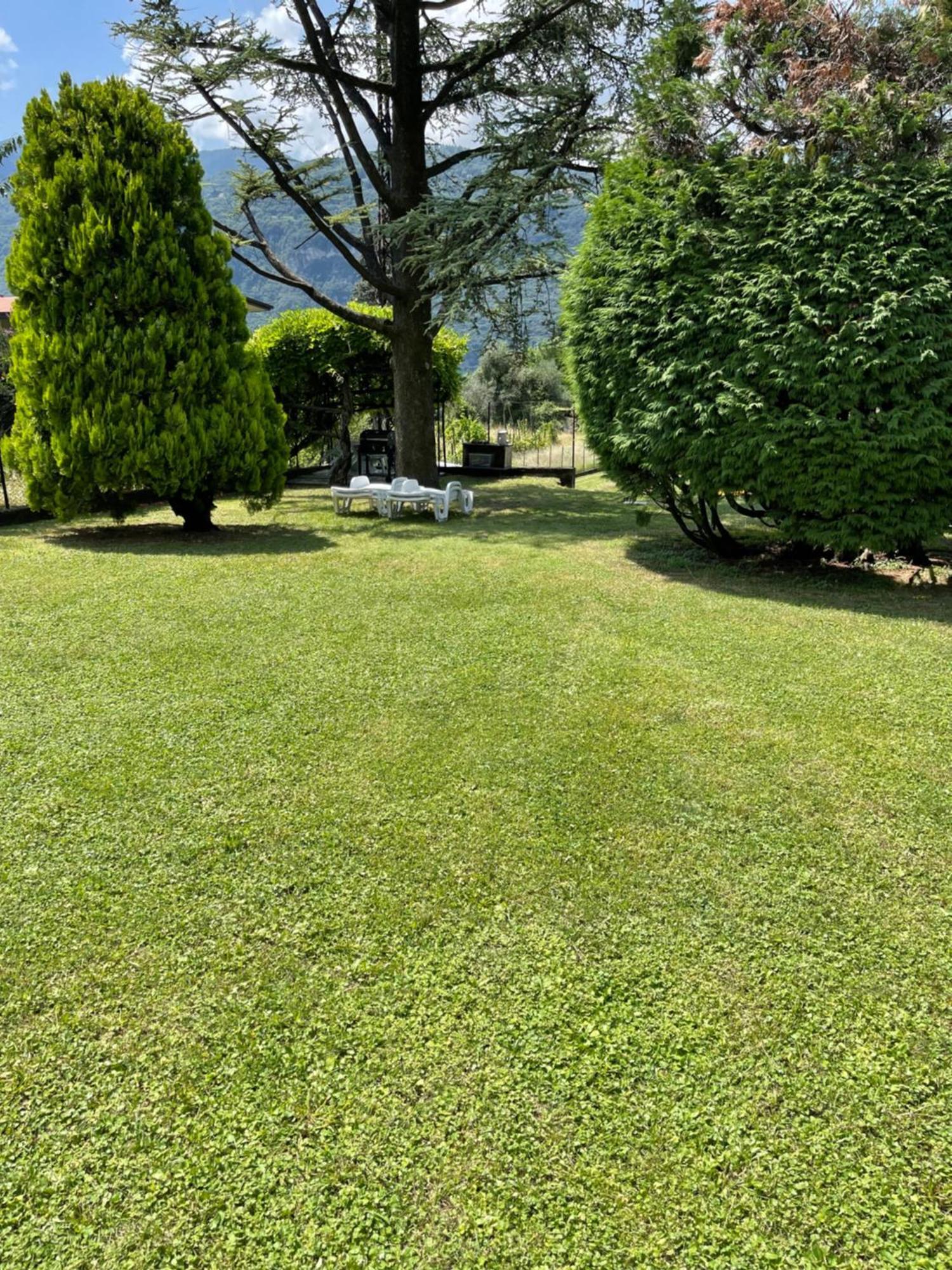 Villa Rosi Lierna Dış mekan fotoğraf