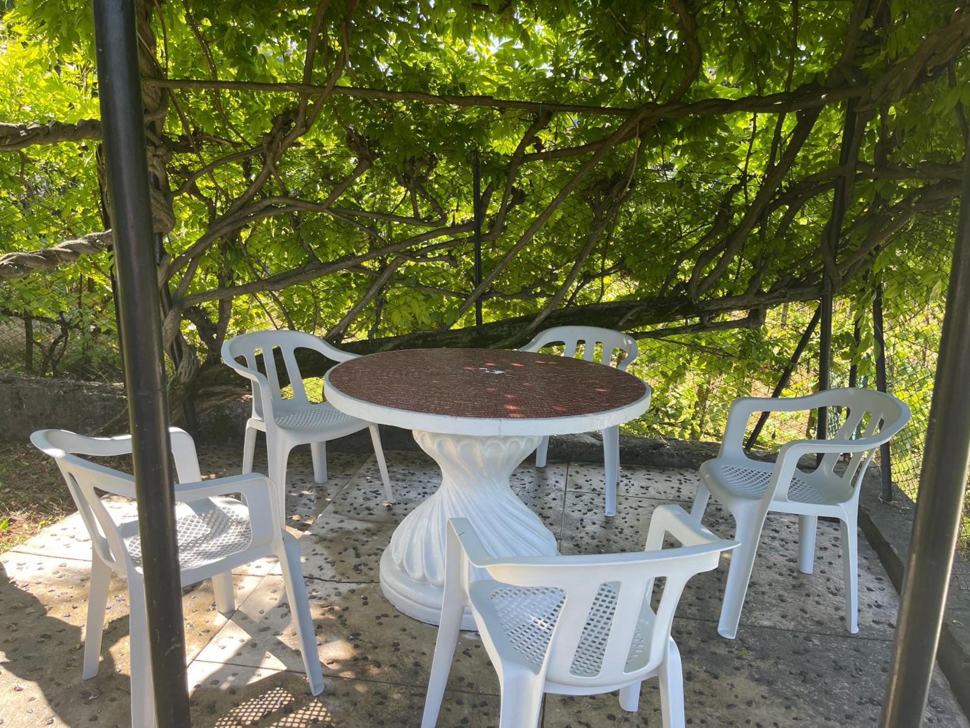 Villa Rosi Lierna Dış mekan fotoğraf